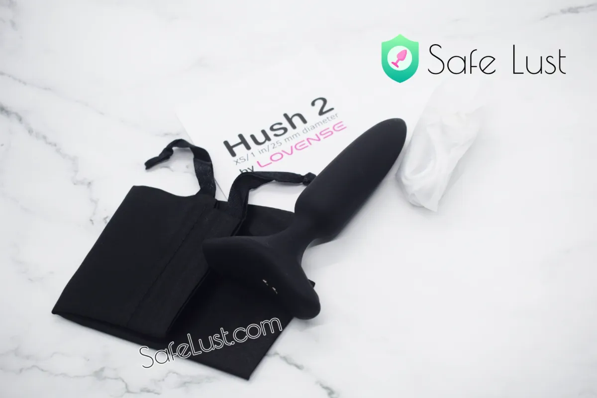 The Lovense 2 Anal Plug along with its accessories out of the box